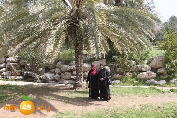 3emwas 0319 (46).JPG